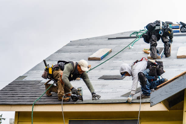 Professional Storm Damage Roof Repair technician working in Kersey, CO
